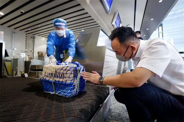 南航宠物托运服务升级 “一站式”保障更省心