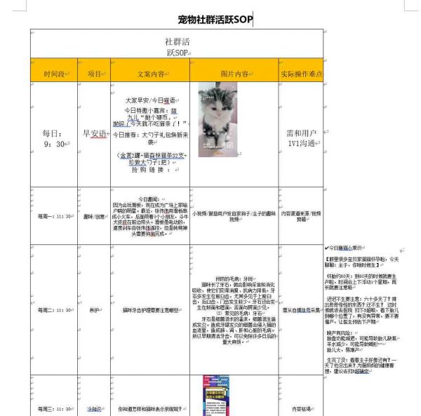 宠物社群活跃SOP方案（免费下载）