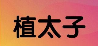植太子