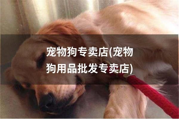 宠物狗专卖店(宠物狗用品批发专卖店)