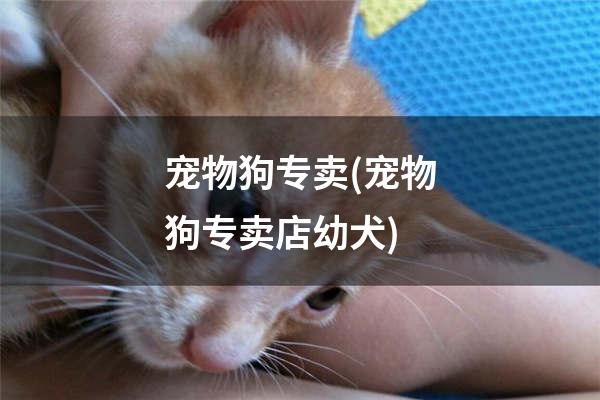 宠物狗专卖(宠物狗专卖店幼犬)