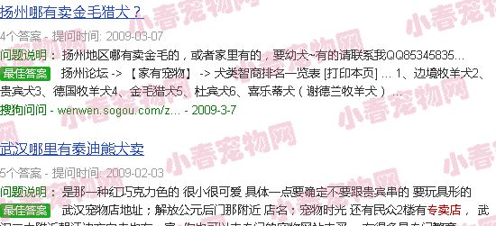 宠物狗专卖店宠物狗大全