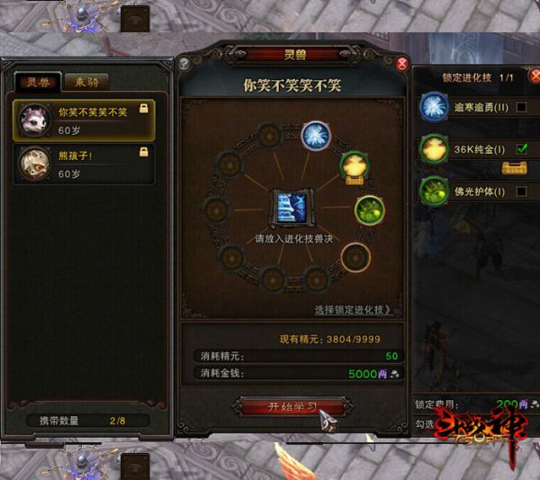 图7：可在指定NPC处耗费道具让灵兽学习进化技副本.jpg