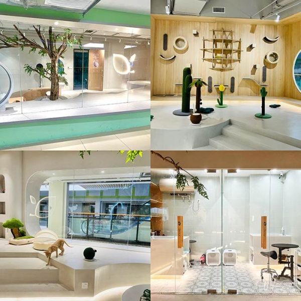 环境展示