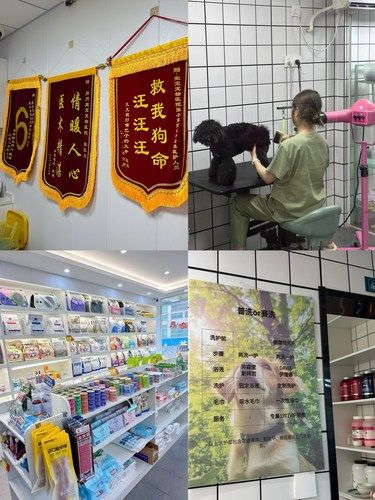 扬州这家宠物医院真的挺靠谱的