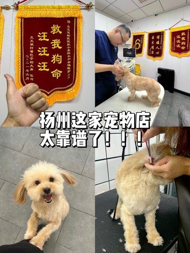 扬州这家宠物太靠谱了！！！