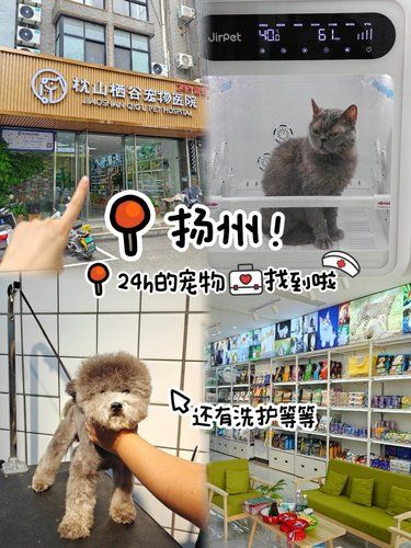 扬州靠谱24h宠物被我找到啦！ 