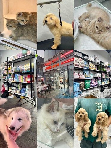 南通万象城，有爱的宠物店
