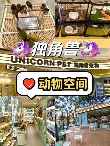 小动物展示空间