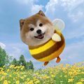 https://p0.meituan.net/userheadpicbackend/77aea4e2e03a37c5e07c674baa91528c247323.jpg%40120w_120h_1e_1c_1l%7Cwatermark%3D0
