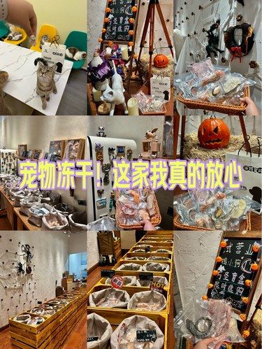 成都｜新开的宠物冻干店！实现冻干自由啦！