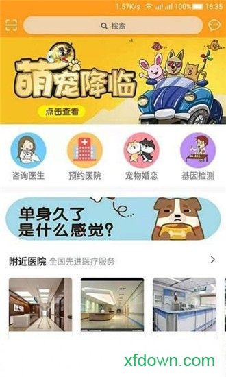 慧宠app下载