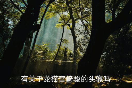 有关于龙猫宫崎骏的头像吗