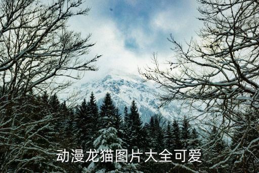 动漫龙猫图片大全可爱