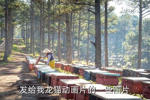 发给我龙猫动画片的一些图片