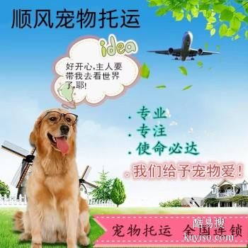 南通 宠物托运小猫小狗活体托运快递至全国