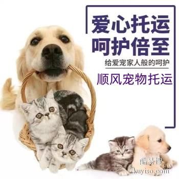 南通 宠物托运小猫小狗活体托运快递至全国