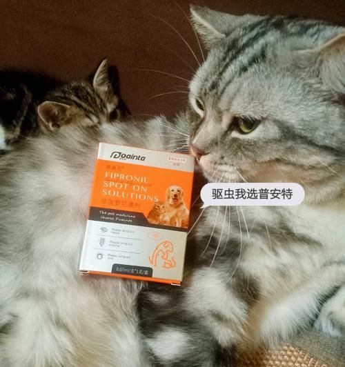 小猫几个月可以驱虫了吗（宠物常识）