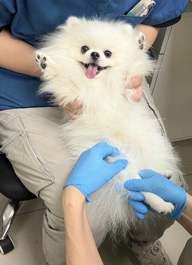 心疼，上一秒它还能笑得出来…