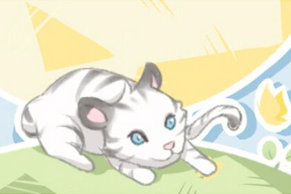 梦见可爱的小猫是什么预兆