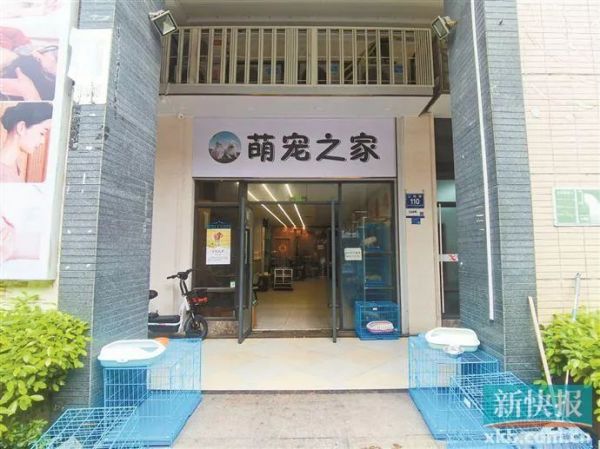 广州市海珠区萌宠之家宠物店。