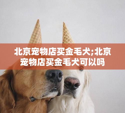 北京宠物店买金毛犬;北京宠物店买金毛犬可以吗