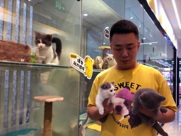 一天30-80元！不少温州市民忙着给爱宠找“酒店”