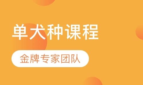 宠物单犬种班