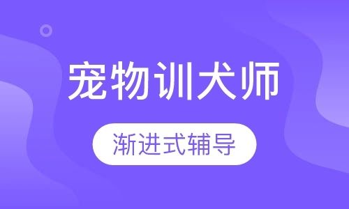 北京宠物训犬师A级