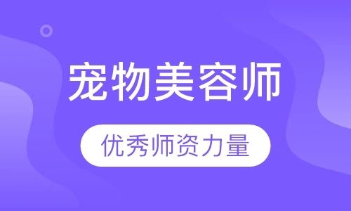 宠物美容师B级