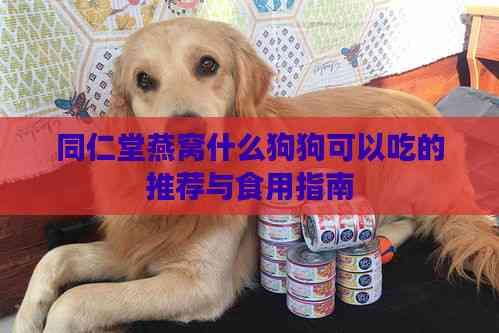 同仁堂燕窝什么狗狗可以吃的推荐与食用指南