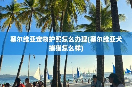 塞尔维亚宠物护照怎么办理(塞尔维亚犬捕猎怎么样)