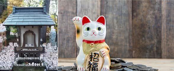 原来风靡全球的招财猫源于这只萌宠!知道真相的你有被萌到吗