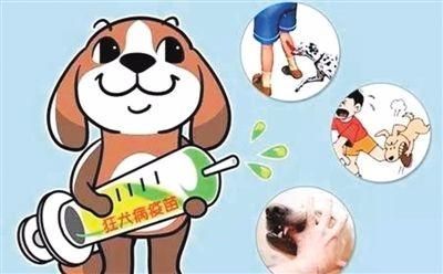 宠物每年都注射狂犬疫苗，我们被咬后还需要打疫苗吗?