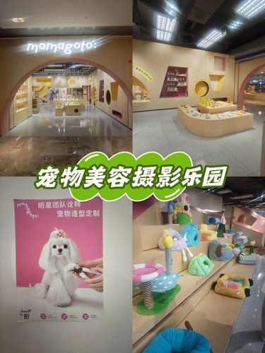 宠物美容摄影乐园