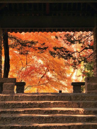 12.20实拍！被市区这秋日之门美哭