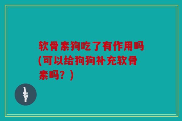 软骨素狗吃了有作用吗(可以给狗狗补充软骨素吗？)