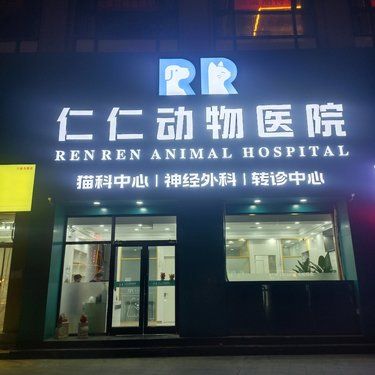 带猫猫来做体检啦