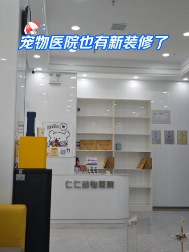 带着毛孩子体检的一天