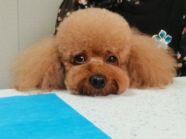 医术超赞 医心更美~
