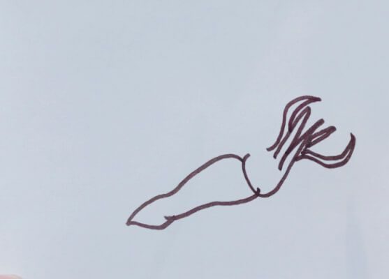 乌贼 简笔画