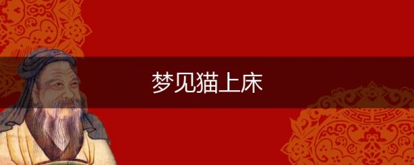 梦见猫上床