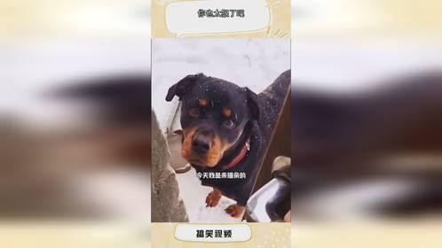 你也太狠了吧