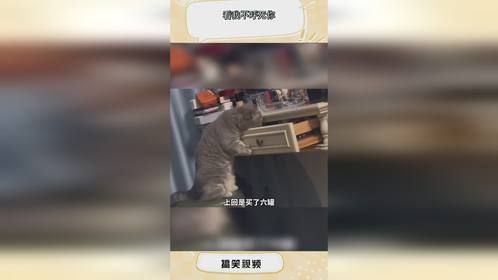 看我不呼死你