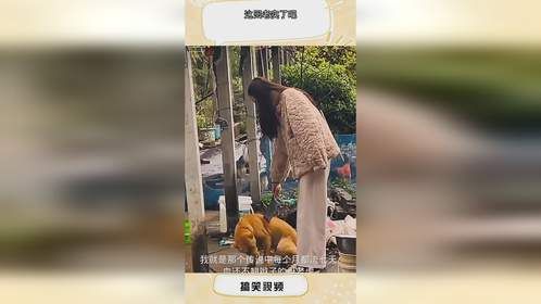 这回老实了吧