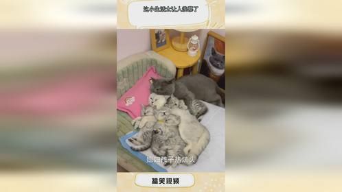 这小生活太让人羡慕了