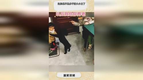 这你是不是分不清大小王了