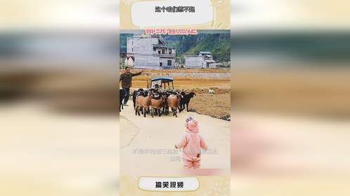 这个咱们惹不起