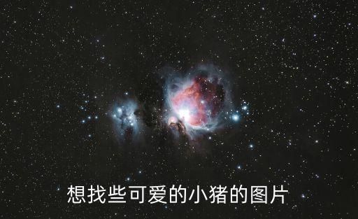 想找些可爱的小猪的图片