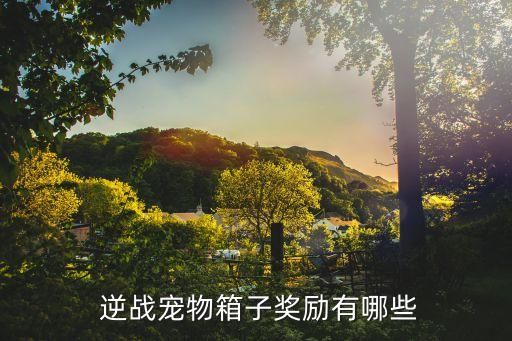  逆战宠物箱子奖励有哪些